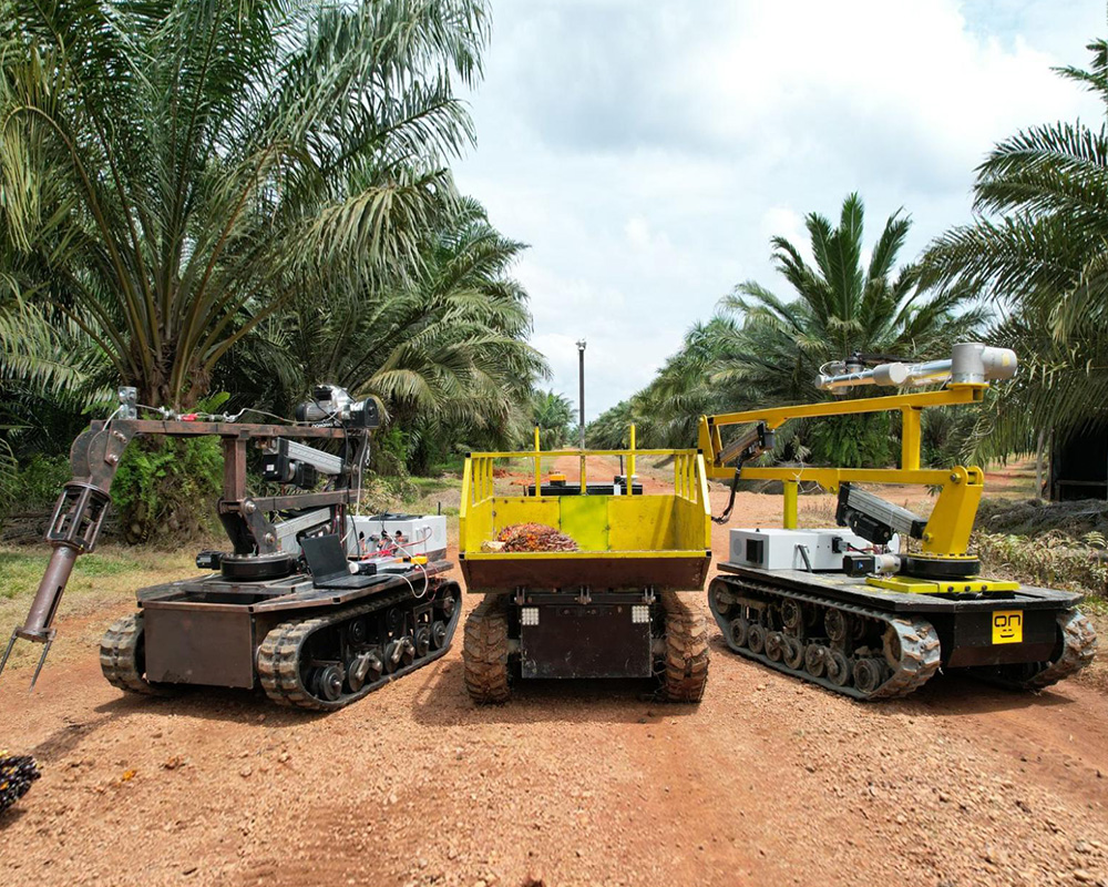 Oil palm robotics project visual